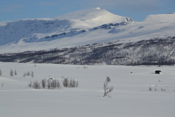 Övre Dividalen Nationalpark